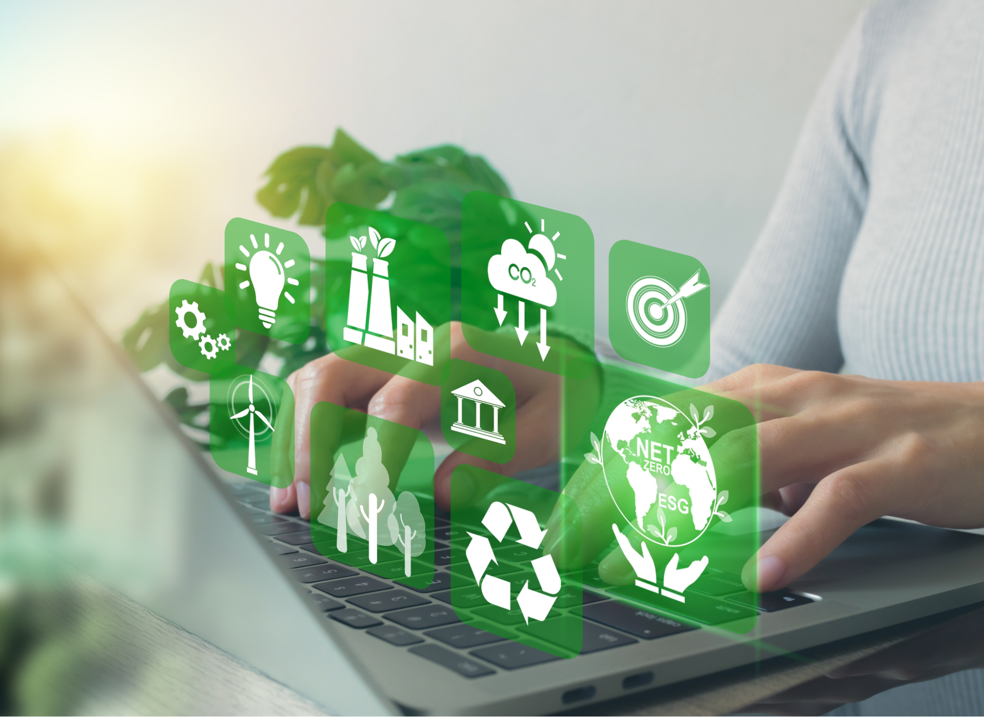 Ways to Reduce Your Carbon Footprint in Power Grids